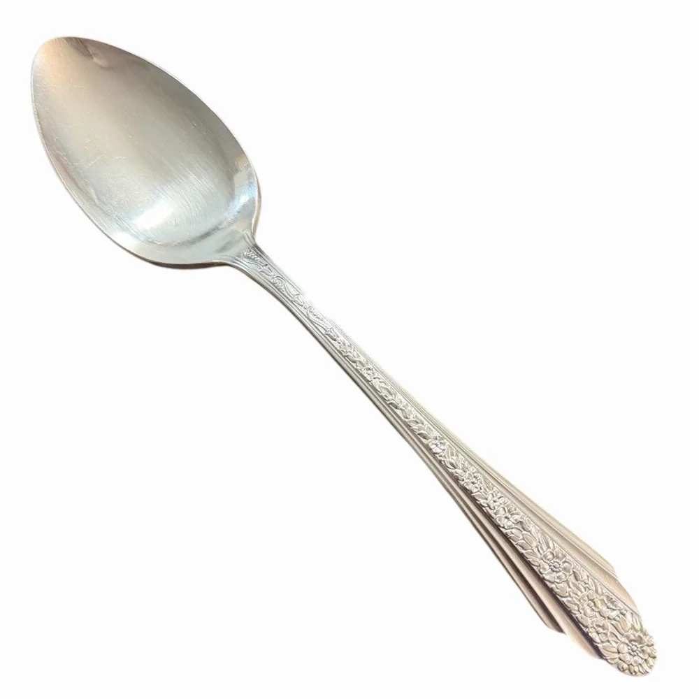 Rogers‎ & Bro Reinforced Plate MODERN ROSE International Silver 1949 Soup Spoon